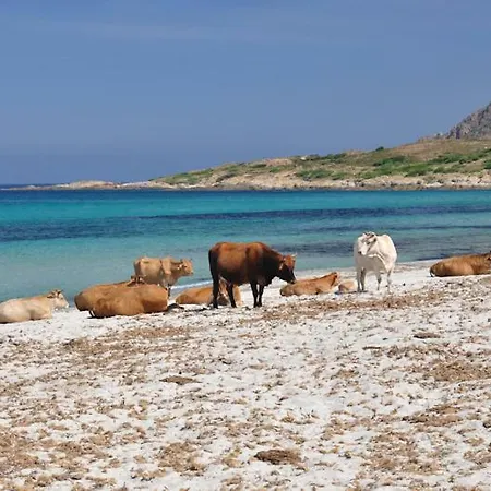 Appartamento Climatise / Terrasse A 2 Min De La *