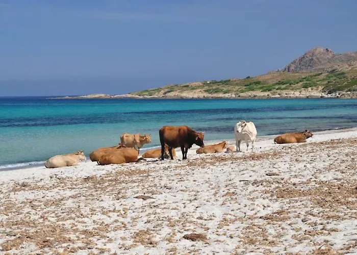 Daire Climatise / Terrasse A 2 Min De La *